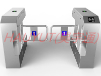桥式斜角摆闸 桥式斜角摆闸