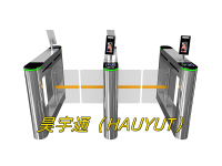 玄宇豪华小摆闸